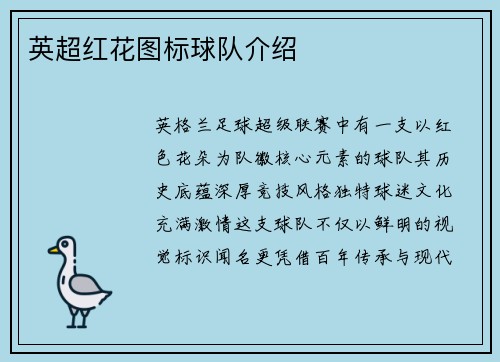 英超红花图标球队介绍