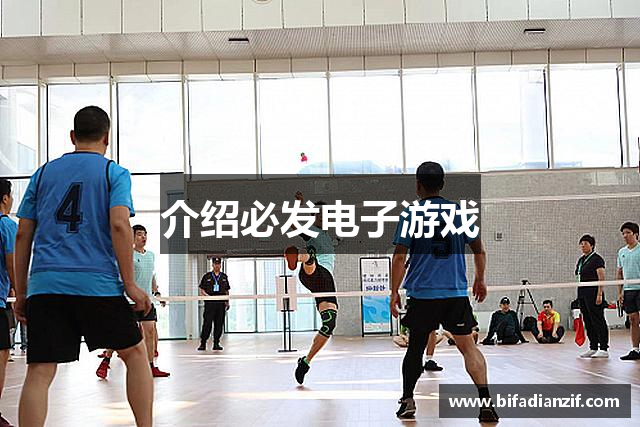介绍必发电子游戏